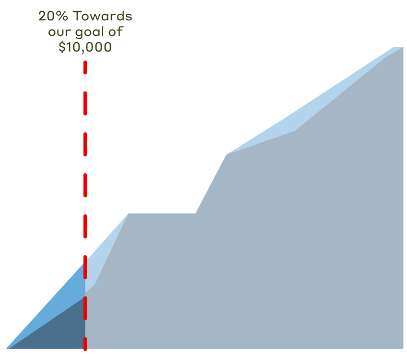 20% towards our goal