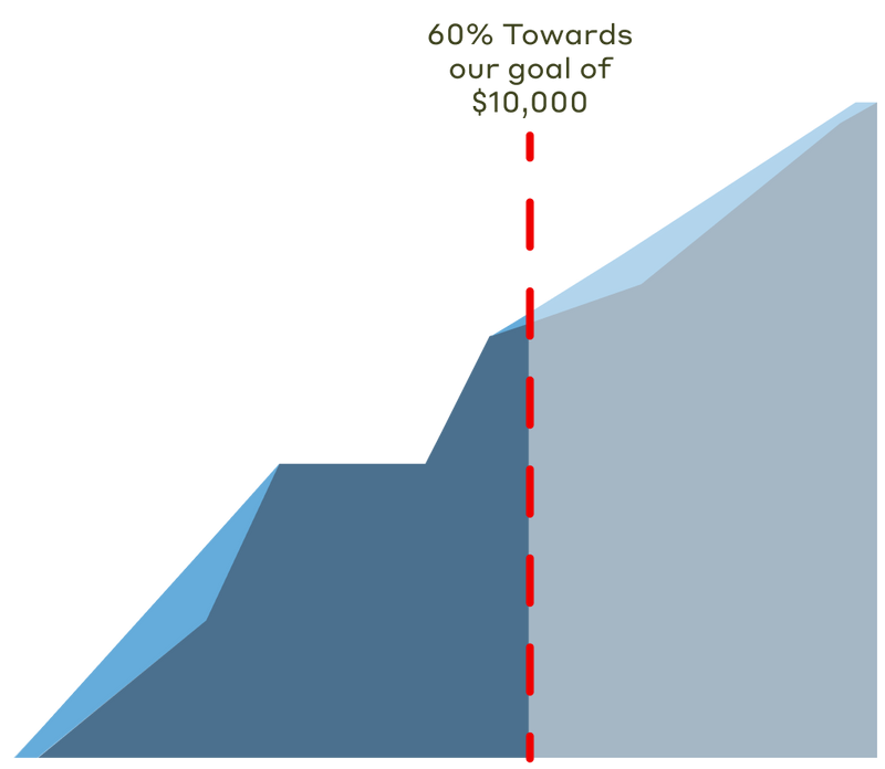 60% towards our goal