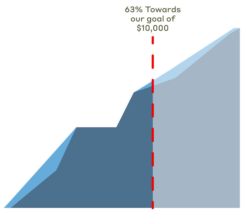 65% towards our goal