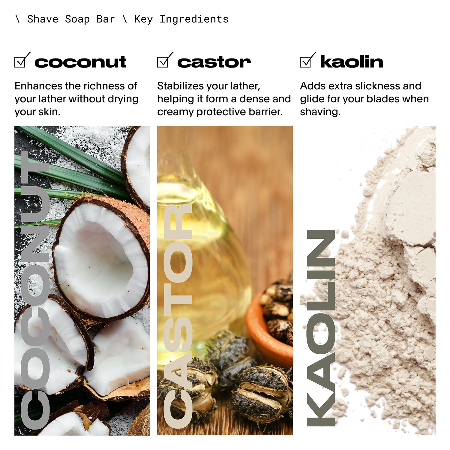 Infographic with three key ingredients: coconut oil, castor oil, kaolin clay.