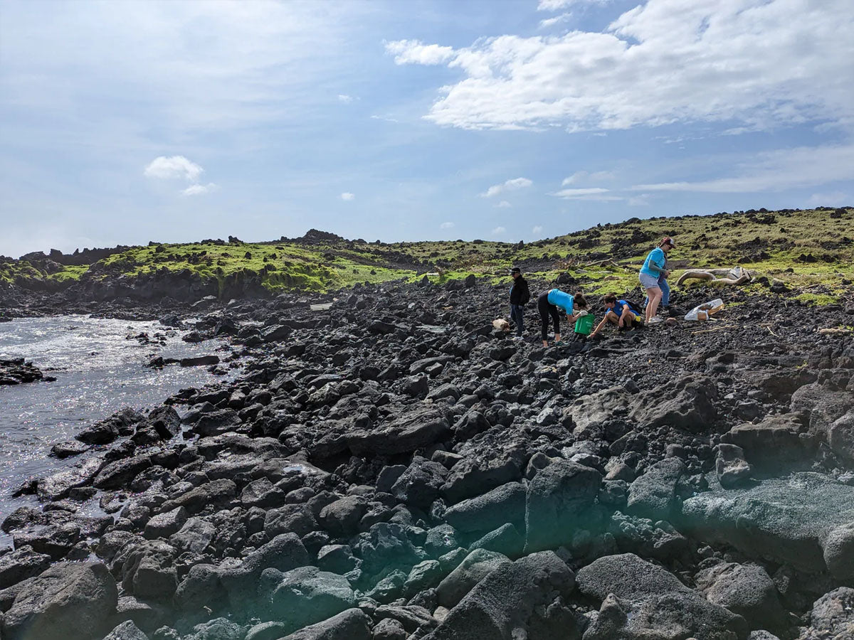 A Day of Cleaning the Beach