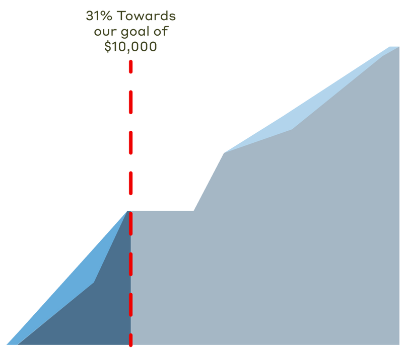 31% towards our goal