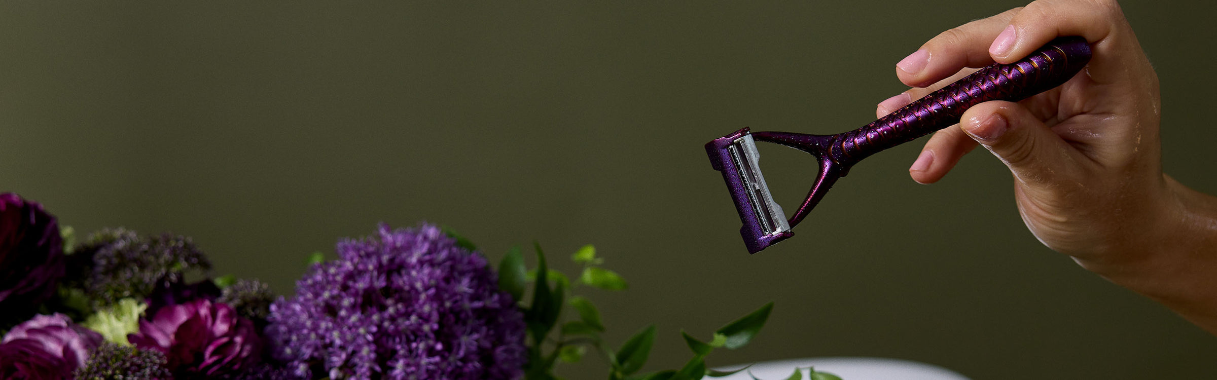 INTRODUCING PLUM