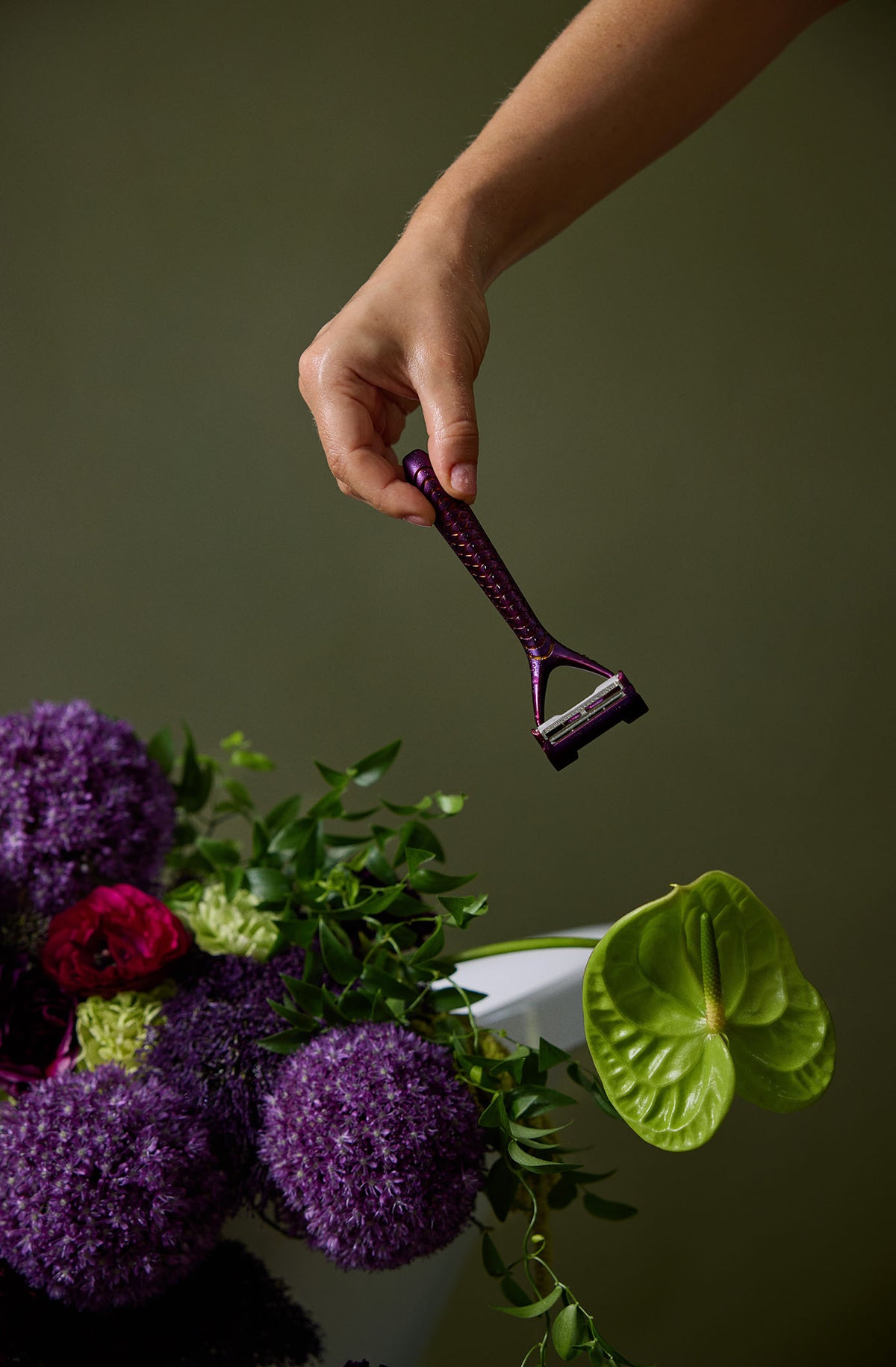 INTRODUCING PLUM