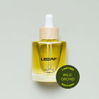 Limited-Batch Wild Orchid