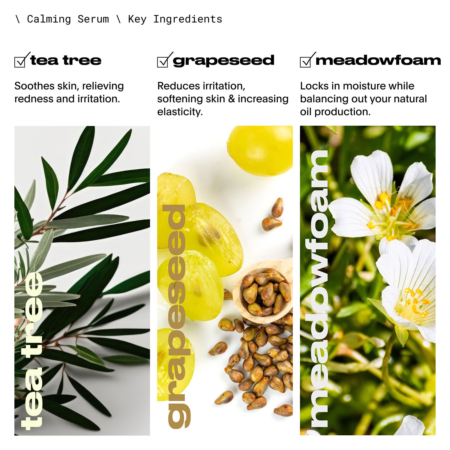 An infographic of Key Ingredients in Leaf Shave brand Calming Serum: 1) Tea Tree soothes skin, relieving redness and irritation; 2) Grapeseed reduces irritation, softening skin and increasing elasticity; 3) Meadowfoam locks in moisture while balancing out natural oil production. It features images of the plants associated with those three ingredients. 