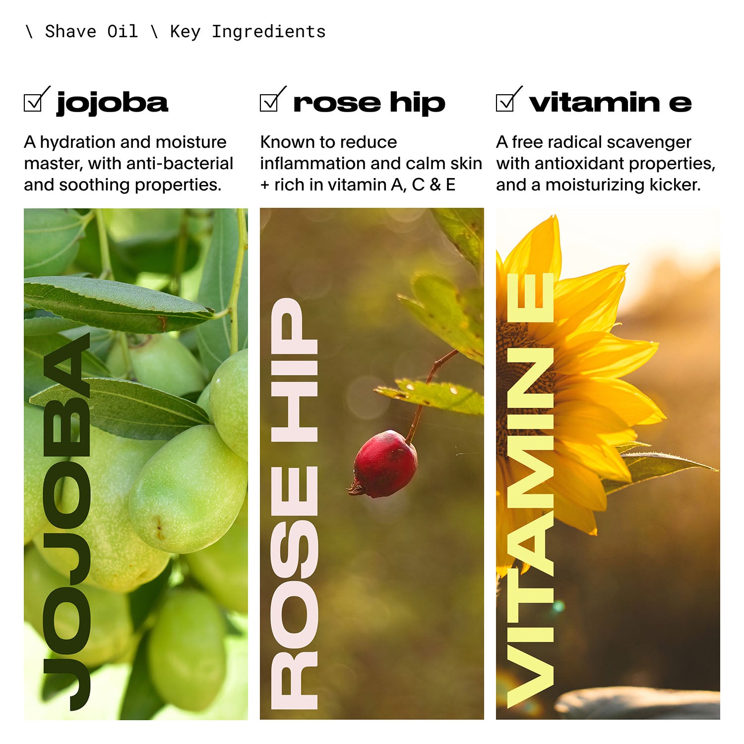 Infographic with three key ingredients: Jojoba, rose hip and vitamin E.