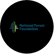 NATIONAL FOREST FOUNDATION